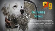 Kennels9 Offering Dog Training Services