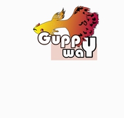 Premium Quality guppy shop in Kerala | Buy guppy online at guppyway