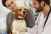 Best Pet Veterinary Services in India -pawpurrfect