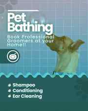 Dog Groomer & Dog Grooming Service in Mumbai