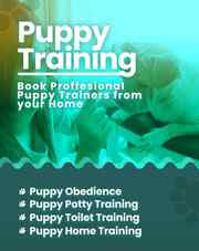  Dog training services in Mumbai 