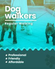 Dog walking services Ahmedabad 