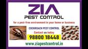 Cockroach Pest service Up To 30% Discount | Pest control near me | 908