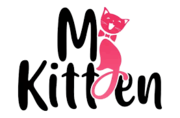 Buy persian cat in Bangalore - MyKitten 